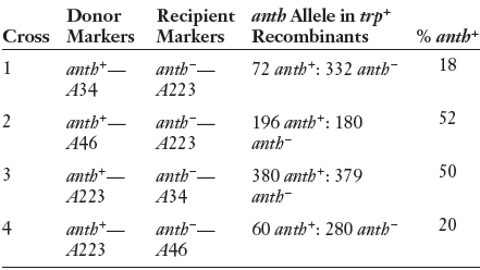Recipient anth Allele in trp* Cross Markers Markers Recombinants Donor % anth+ 18 anth-- A223 72 anth*: 332 anth- anth*-