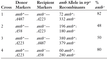 anth Allele in trp+ Recombinants Donor Recipient Markers % Cross Markers anth- 82 anth-- anth+- 72 anth*: A487 A223 332 
