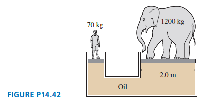 1200 kg 70 kg 2.0 m Oil FIGURE P14.42 