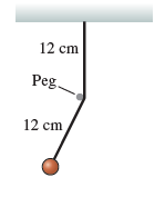 12 cm Peg. 12 cm 