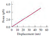 6.0 4.0 2.0 0.0 0 10 20 30 40 50 60 Displacement (nm) Force (pN) 