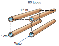 80 tubes 1.5 m 1 cm Water 
