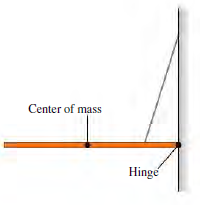 Center of mass Hinge 
