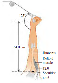 125 64.0 cm -Humerus Deltoid muscle 12.0° Shoulder joint 
