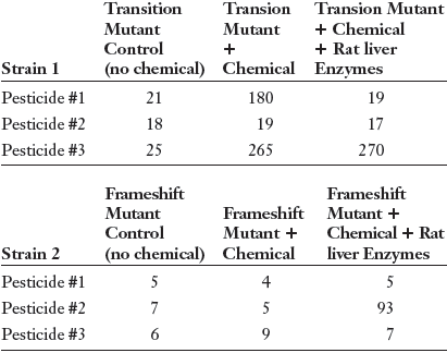 Transition Transion Transion Mutant + Chemical + Rat liver Enzymes Mutant Mutant Control (no chemical) Chemical Strain 1