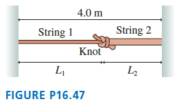 4.0 m String 2 String 1 Knot L FIGURE P16.47 