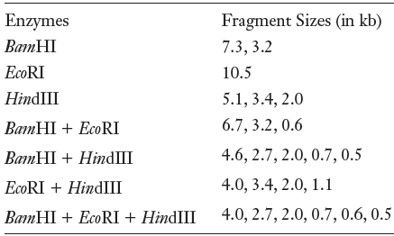 Enzymes Fragment Sizes (in kb) ВатHI 7.3, 3.2 ECORI 10.5 HindIII 5.1, 3.4, 2.0 6.7, 3.2, 0.6 BamHI + ECORI 4.6, 2.7, 