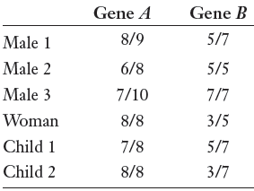 Gene A Gene B 5/7 8/9 Male 1 Male 2 6/8 5/5 Male 3 7/10 7/7 Woman 8/8 3/5 Child 1 5/7 7/8 Child 2 8/8 3/7 