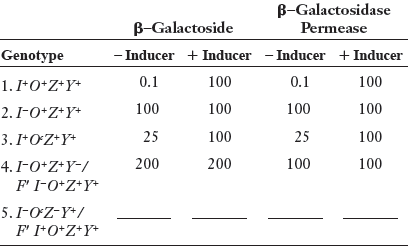 B-Galactosidase B-Galactoside Permease - Inducer + Inducer - Inducer +Inducer Genotype 1. I*O*Z+Y* 0.1 100 0.1 100 100 1