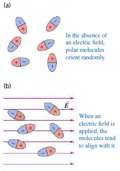 (a) In the absence of an electric field, polar molecules orient randomly. (b) When an electric field is applied, the mol