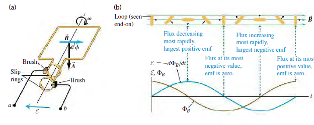 (a) (b) Loop (seen- end-on) Flux decreasing most rapidly, largest positive emf Flux increasing most rapidly, largest neg