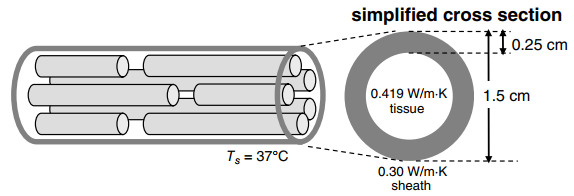 simplified cross section L[0.25 cm 0.419 W/m-K tissue 1.5 cm %3! Ts = 37°C 0.30 W/m-K sheath 