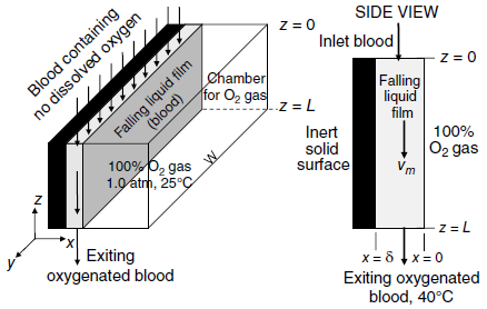 Blood containing no dissolved oxygen (blood) SIDE VIEW Inlet blood ehamber for O2 gas Falling liquid film .z = L Inert s