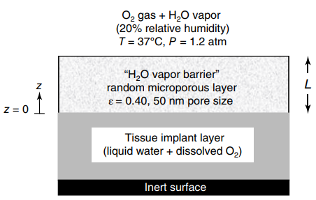 O2 gas + H20 vapor (20% relative humidity) T= 37°C, P = 1.2 atm 