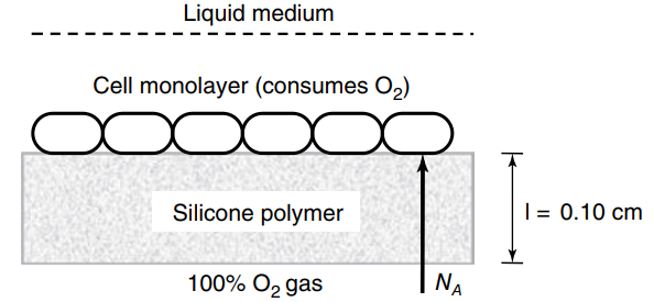 Liquid medium Cell monolayer (consumes O2) | = 0.10 cm Silicone polymer NA 100% O2 gas 