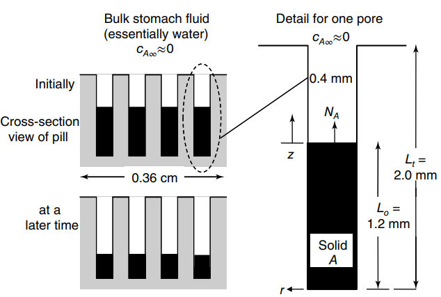 Detail for one pore Bulk stomach fluid (essentially water) CAc.0 0.4 mm Initially NA Cross-section view of pill L = 2.0 
