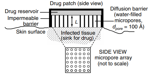 Drug patch (side view) Diffusion barrier (water-filled -micropores, dpore = 100 Å) Drug reservoir Impermeable barrier S