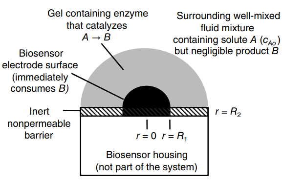 Gel containing enzyme that catalyzes Surrounding well-mixed fluid mixture containing solute A (CAo) but negligible produ