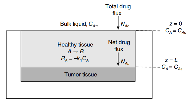 Total drug flux Bulk liquid, CA. NAO CA= CAo Net drug Healthy tissue A → B flux RA = -k,CA As -- CA= CAS Tumor tissue 