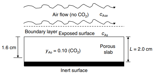 CAO Air flow (no CO2) CAS Boundary layer Exposed surface Porous L = 2.0 cm 1.6 cm slab YAO = 0.10 (CO2) Inert surface 