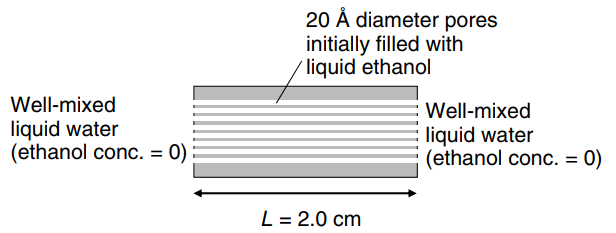 20 Å diameter pores initially filled with / liquid ethanol Well-mixed liquid water (ethanol conc. = 0) Well-mixed liqui