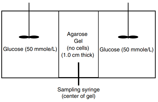 Agarose Gel (no cells) (1.0 cm thick) Glucose (50 mmole/L) Glucose (50 mmole/L) Sampling syringe (center of gel) 