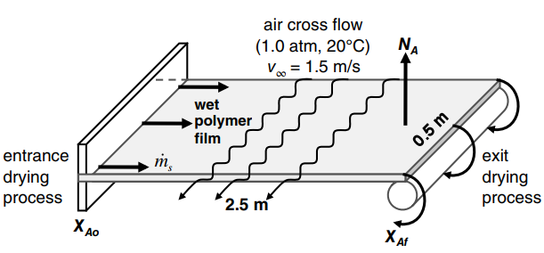 air cross flow (1.0 atm, 20°C) Voo = 1.5 m/s NA wet polymer film entrance 0.5 m т, exit drying drying process 2.5 m pr