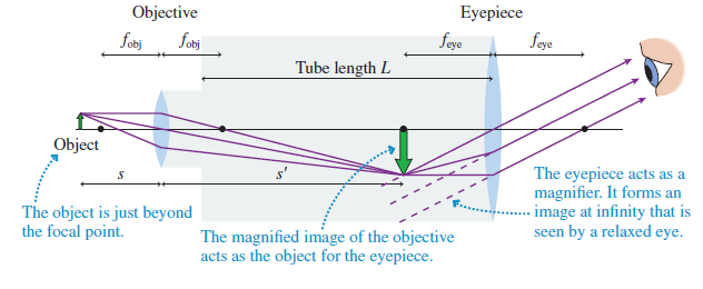 Objective Eyepiece fobj fobj feye foye Tube length L Object The eyepiece acts as a magnifier. It forms an image at infin
