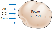 Air Potato 2°C T, = 25°C 4 m/s 