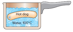 Hot dog Water, 100°C 