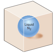 Liquid N2 
