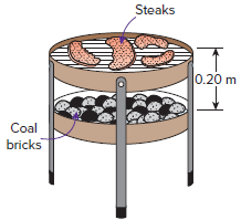 Steaks l0.20 m Coal bricks 