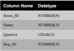Column NameDatatype NUMBER(8) Store_ID NUMBER(5) Name Quarter CHAR(3) Rep_ID NUMBER(5) 