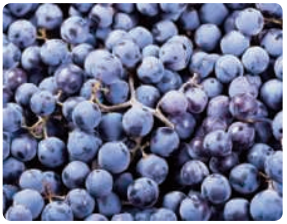 Estimate the number of grapes shown in the photo.