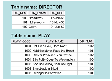 Table name: DIRECTOR DIR_NUM DIR_LNAME DIR_DOB 100 Broadway 12-Jan-65 101 Hollywoody 18-Nov-53 102 Goofy 21-Jun-62 Table