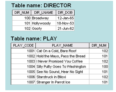 Table name: DIRECTOR DIR_NUM DIR_LNAME DIR DOB 100 Broadway 12-Jan-65 101 Hollywoody 18-Nov-53 102 Goofy 21-Jun-62 Table