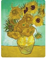 In this photo of Sunflowers, an 1889 painting by Vincent