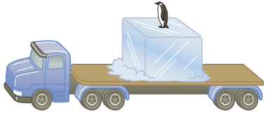 An unsafe way to transport your penguin. A flatbed truck