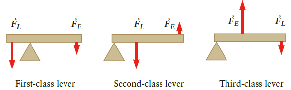 FE FEA First-class lever Second-class lever Third-class lever 