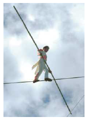 Tightrope walkers often carry a long pole (Fig. Q9.7). Explain