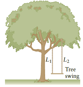 L2 L1 Tree swing 
