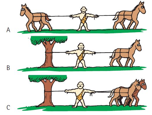 The strong man is pulled in the three situations shown.