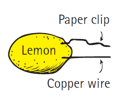 Paper clip Lemon Copper wire 