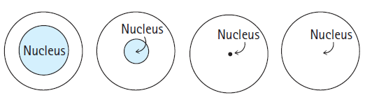 Nucleus Nucleus Nucleus Nucleus) 
