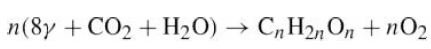 n(8y + CO2 + H20) → C„H2,On + nɔ2 