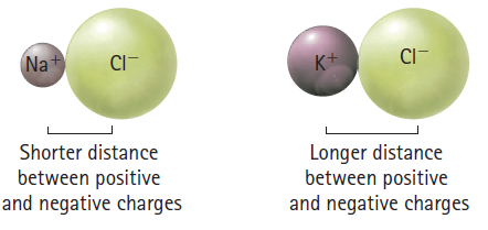 CI- Nat CI- K+ Longer distance between positive and negative charges Shorter distance between positive and negative char
