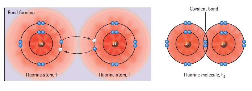 Covalent bond Bond forming +9 +9 Fluorine atom, F Fluorine atom, F Fluorine molecule, F2 