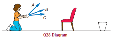 A Q28 Diagram 