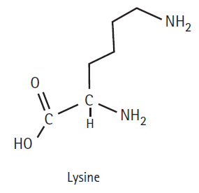 NH2 * NH, НО Lysine 