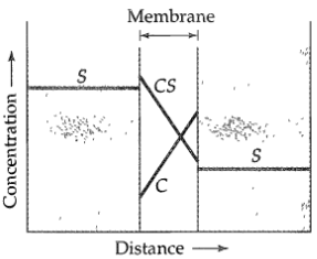 Membrane CS Distance ► Concentration 